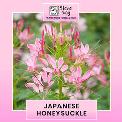 Stevie Buoy Japanese Honeysuckle Fragrance