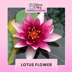 Stevie Buoy Lotus Flower Fragrance