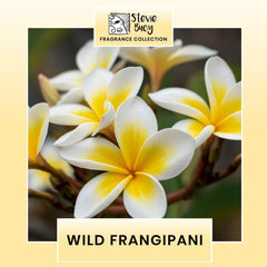 Stevie Buoy Wild Frangipani Fragrance