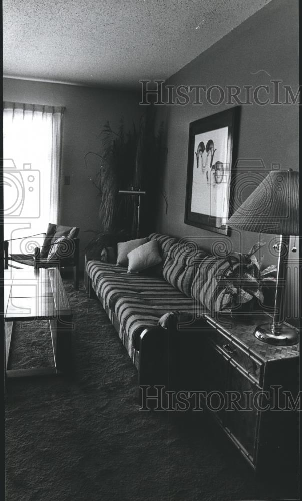 Birmingham Alabama Apartments Interior With Furniture 1979