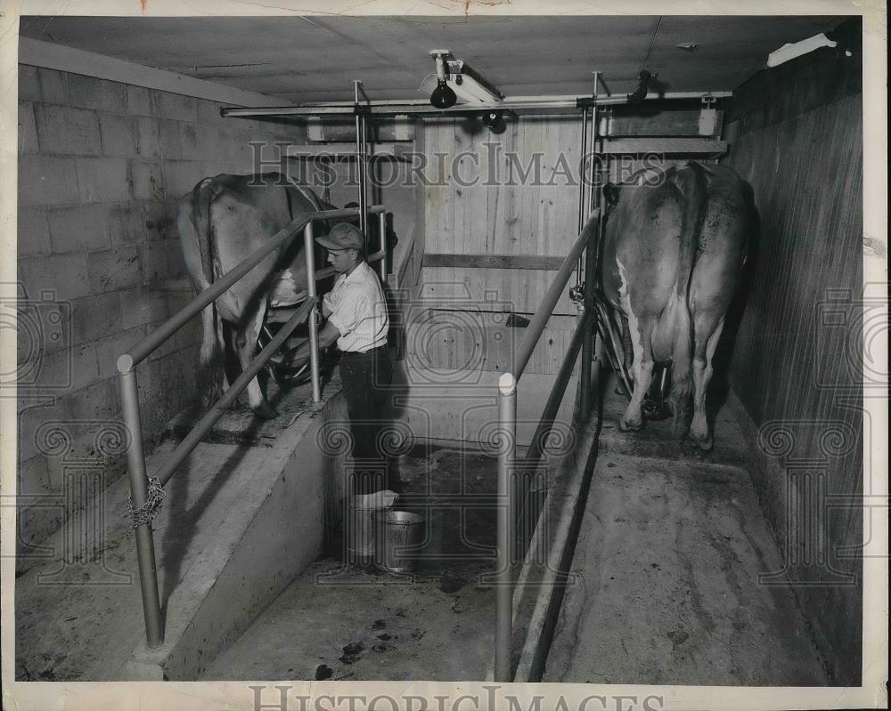 Motzee Former Stanchion Barn Milking Parlor 1951 Vintage ...