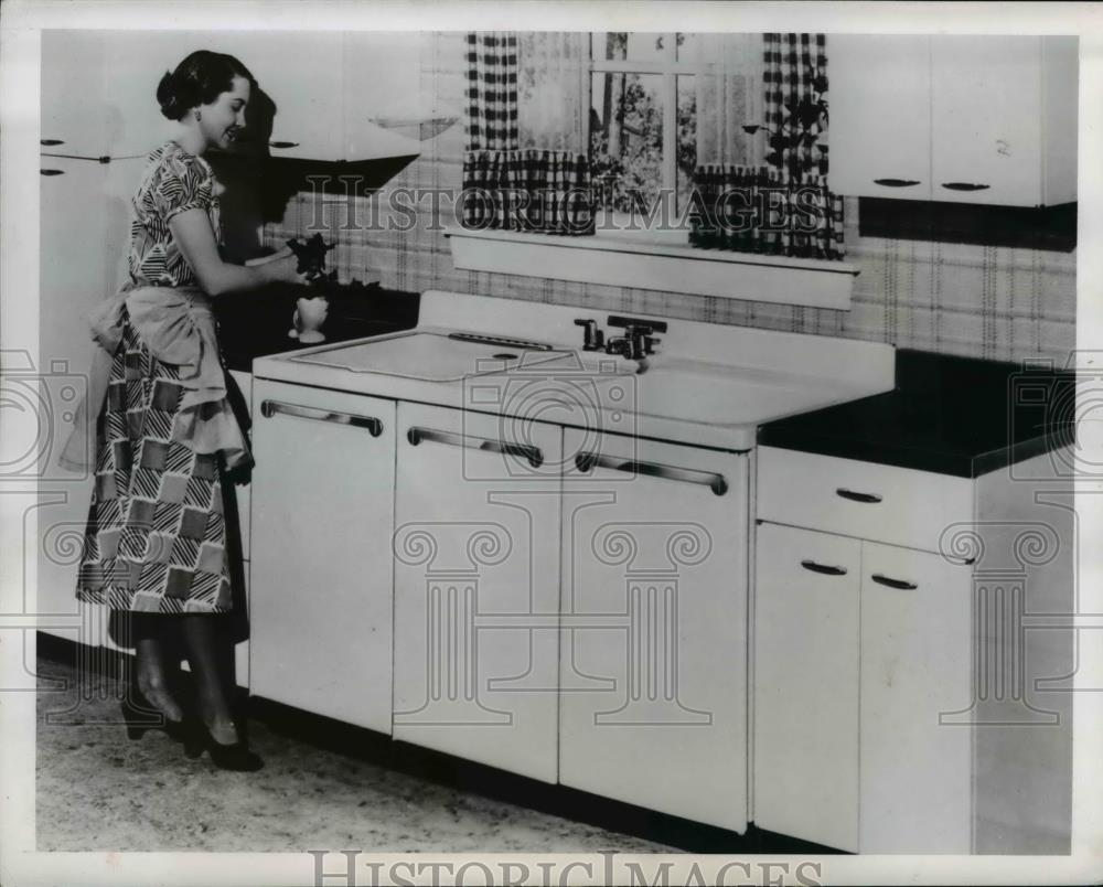 kitchen sink dishwasher combo