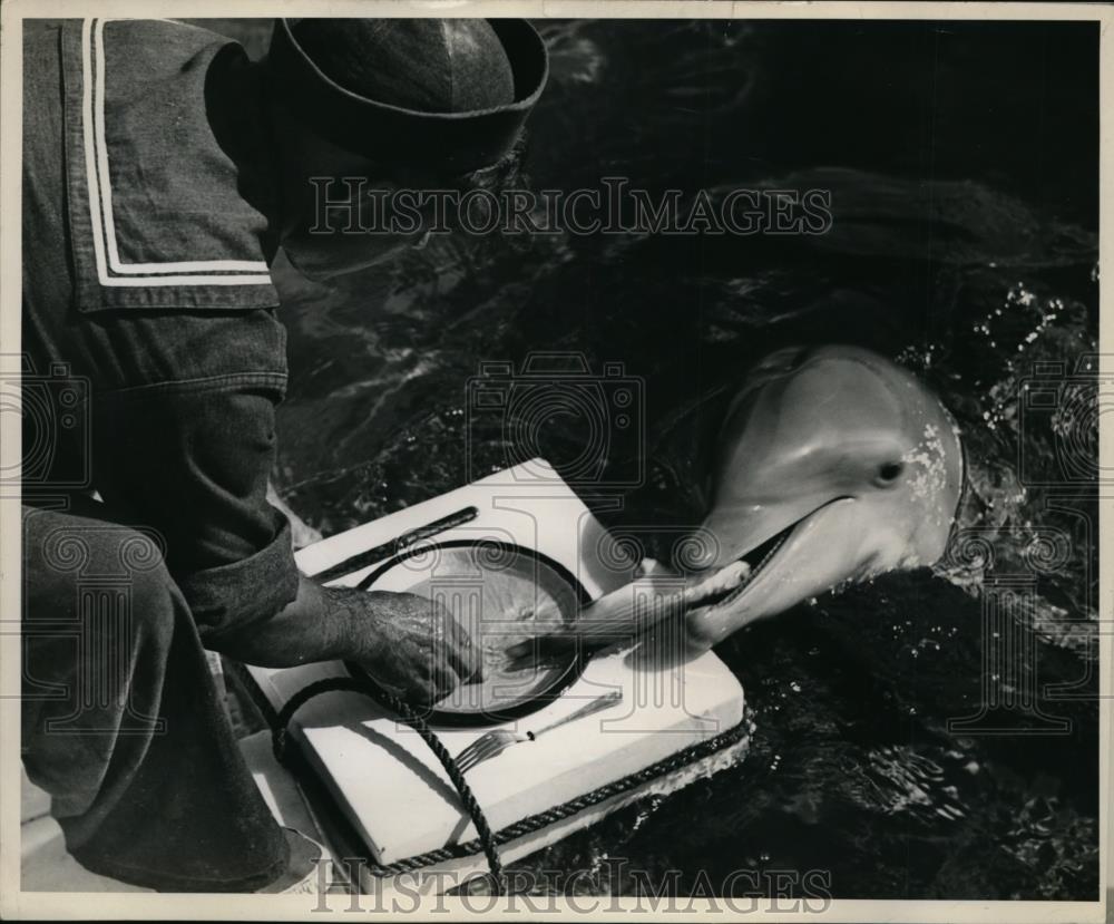 1940 Press Photo Salmon eggs in trays at Leavenworth, Washington - spa -  Historic Images