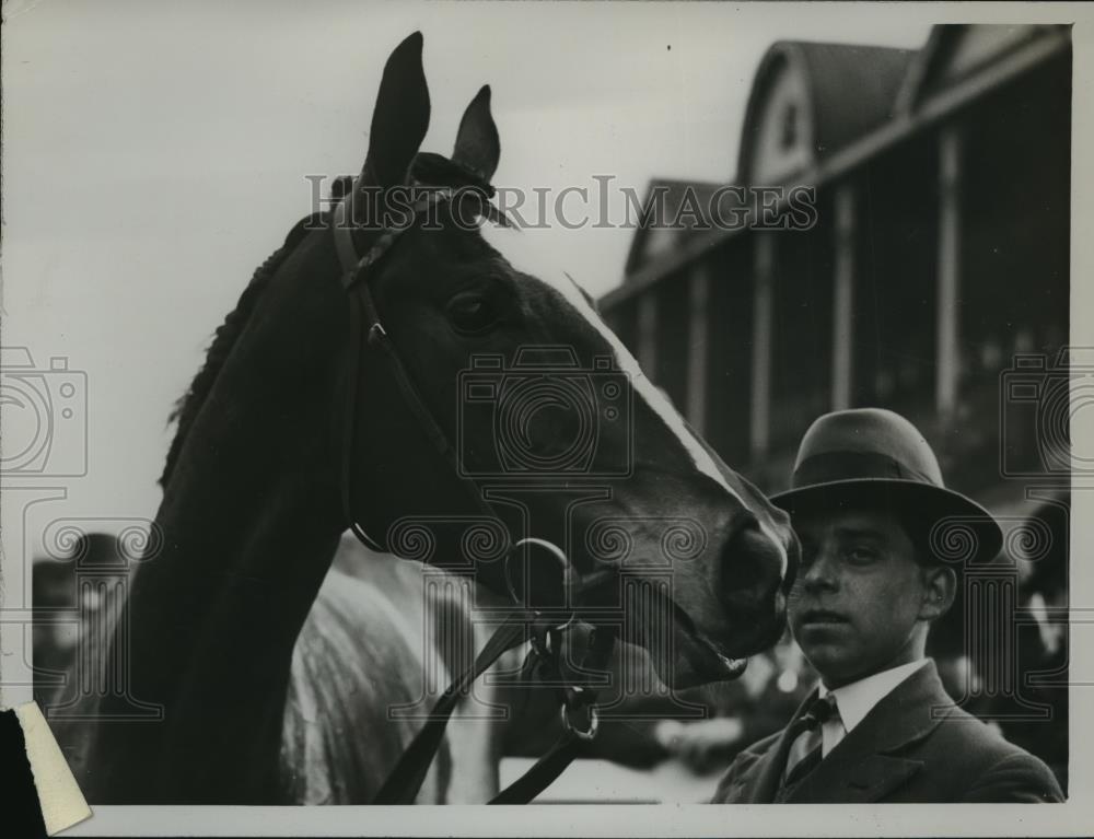 Racehorse Pandora Box Won At Lincoln Races 1929 Vintage Press Photo Print Historic Images