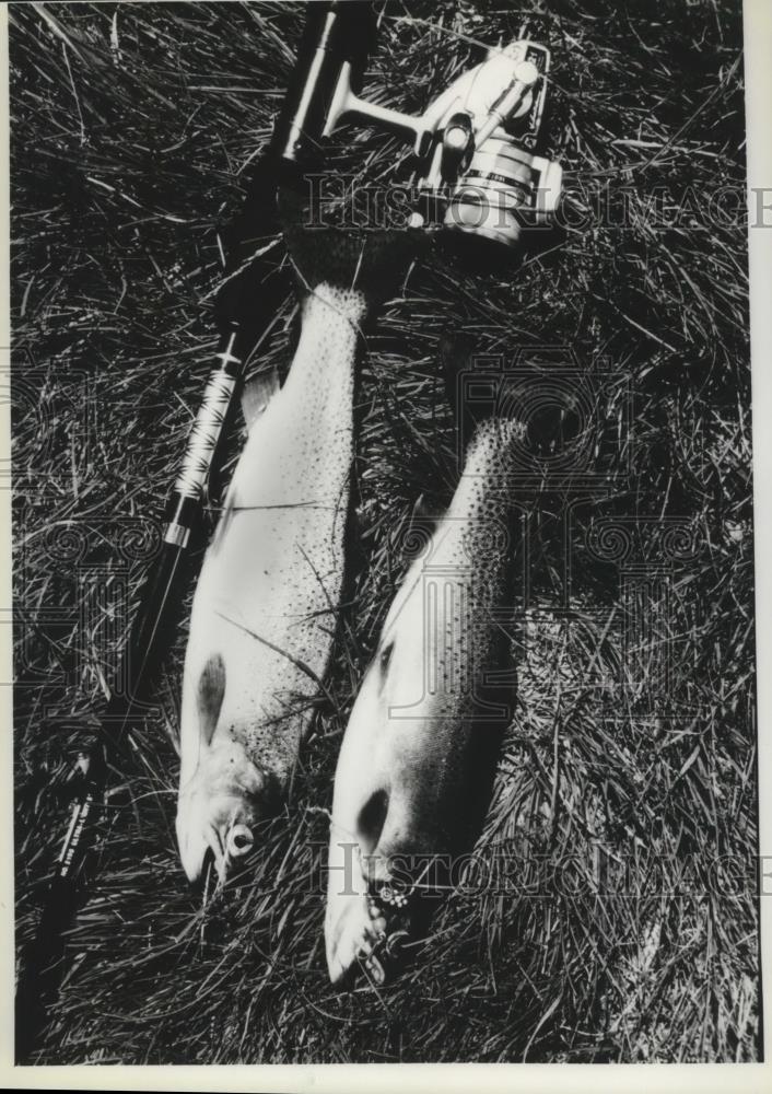 1940 Press Photo Salmon eggs in trays at Leavenworth, Washington - spa -  Historic Images