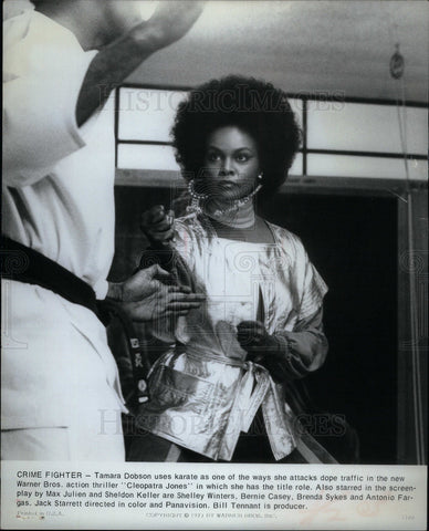 1973 Press Photo Tamara Dobson American actress model