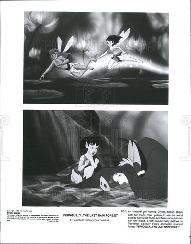 1992 Press Photo Ferngully The Last Rain Forest animation - Historic Images