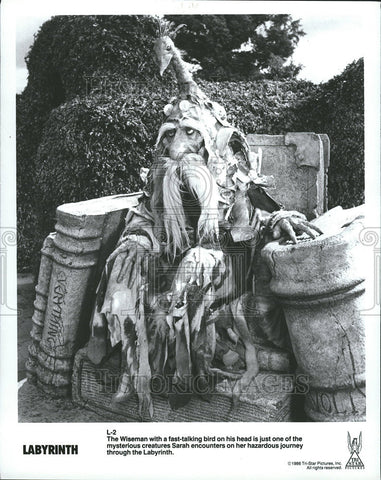 1987 Press Photo Sarah encounter hazardous journey Labyrinth bird talks - Historic Images