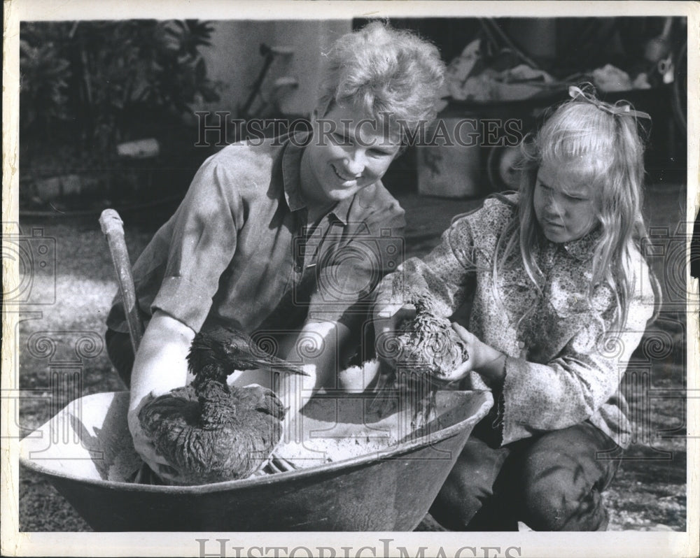 1969 Press Photo Black Decker Battery Powered Mower - RRW35961 - Historic  Images