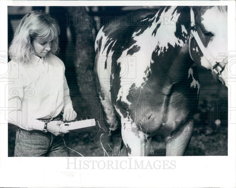 1991 Florida Vet Dr. Peggy Fleming Using Acupuncture on Horse Rambo Press Photo - Historic Images