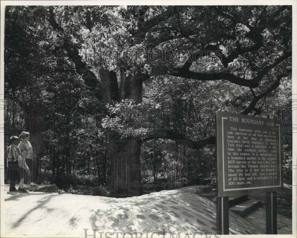 The Boundary Oak of Hodgenville,Kentucky was early settlers landmark