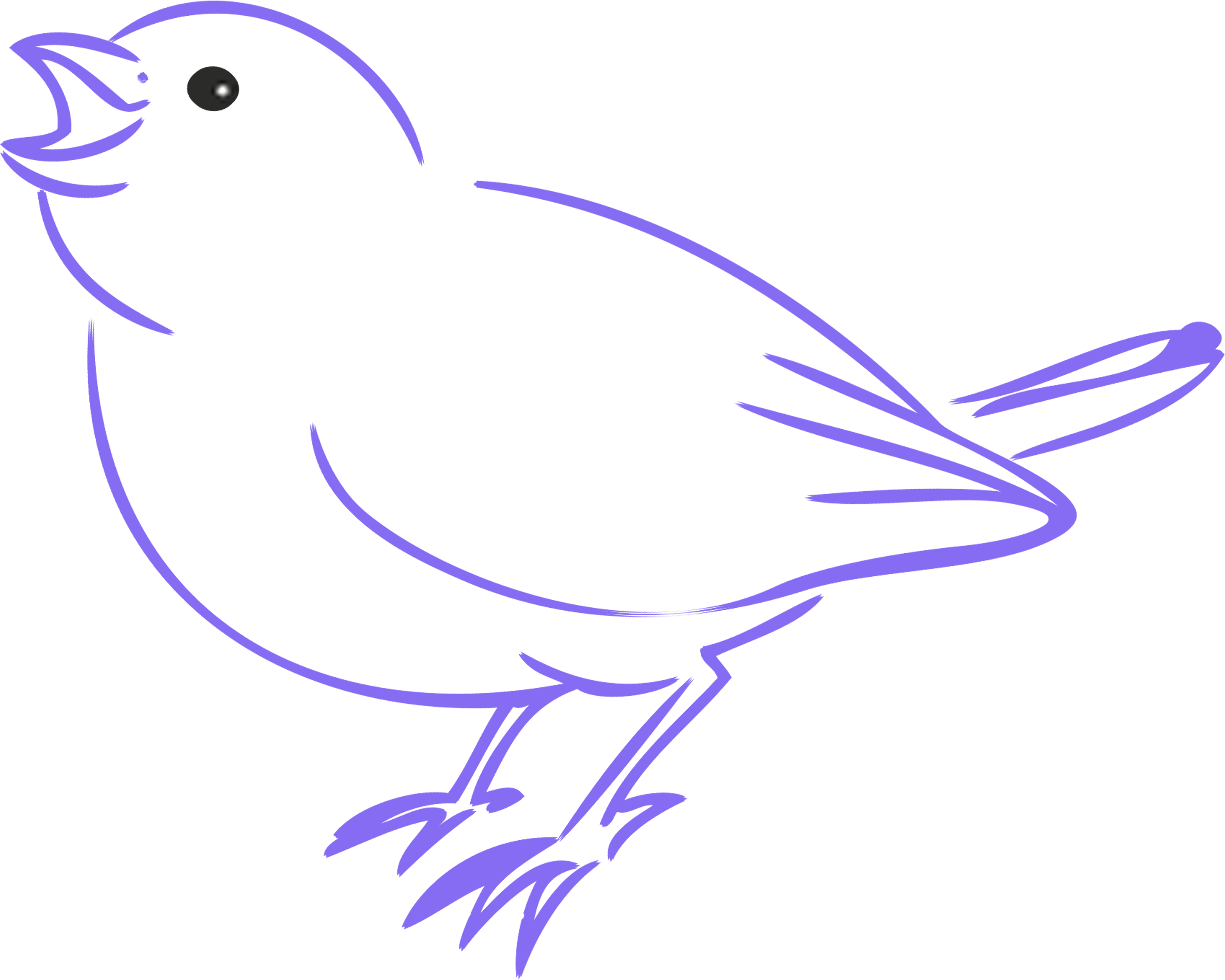 AA Logo Sparrow