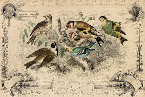Hendryx Parrot Bird Cage – Fluffernutter Vintage