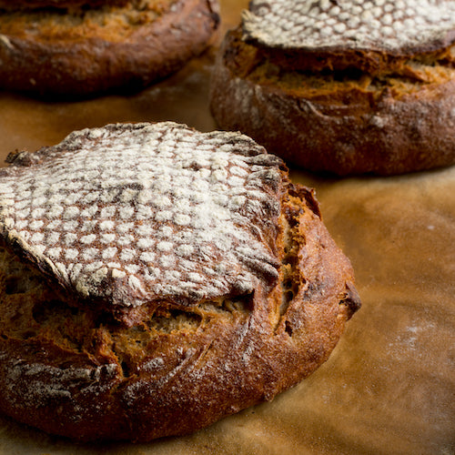 Sourdough baking stories