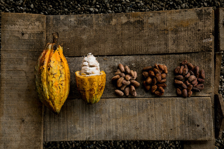 chocolate making process