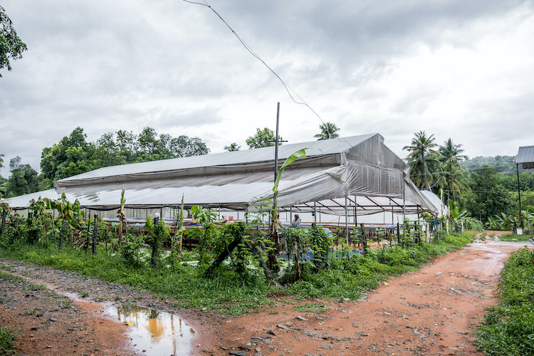 chocolate making factory