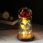 Artificial Eternal Rose LED Light Beauty & The Beast In Glass Cover Home Decor Gift