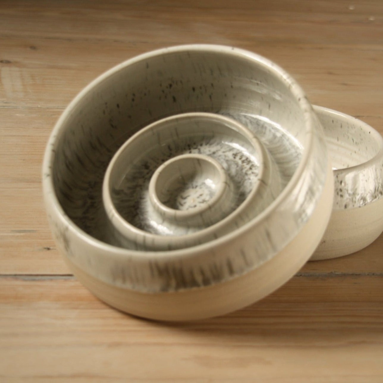 ceramic slow feeder bowl