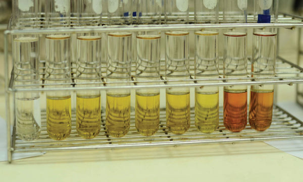 a rack of test tubes