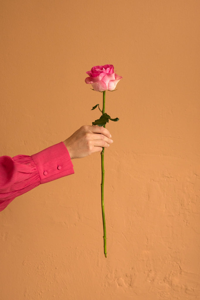 Rosa Rose in der Hand, die eine rote Bluse trägt