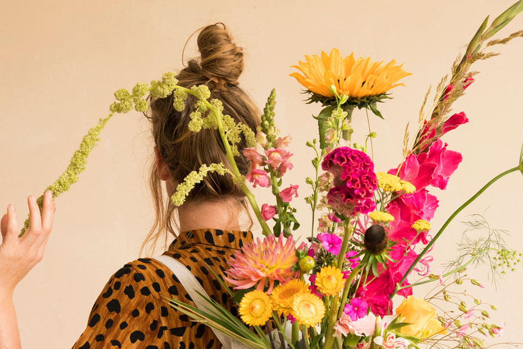 helianthus bloomon