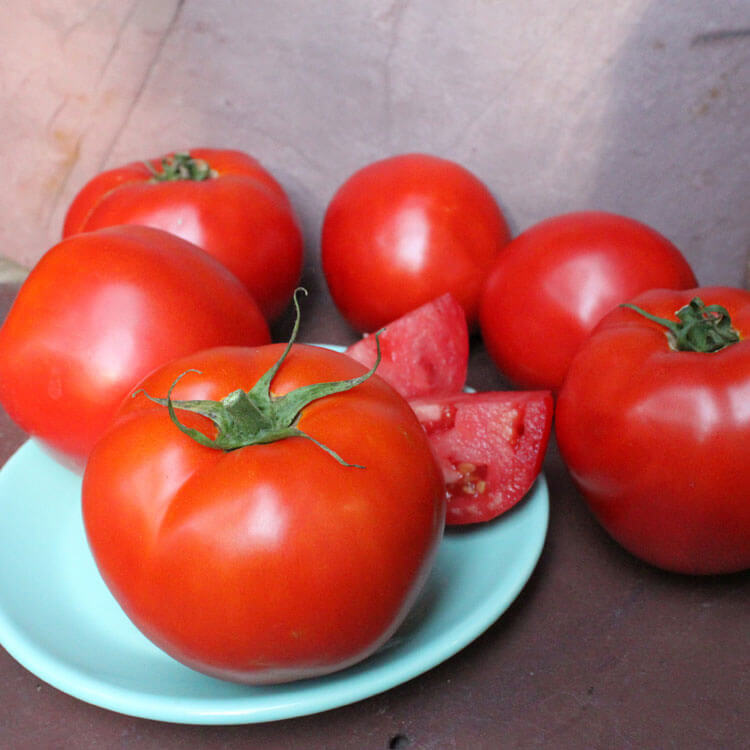 Томат сорт полным полно отзывы. Королевская Жемчужина томат. Сорт томатов Парадиз.