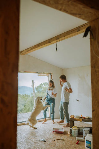 Living Through a Renovation - Family with Dog