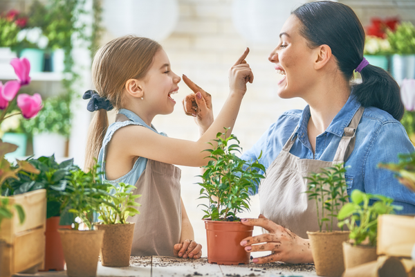 Indoor garden with various plants and flowers in pots on a windowsill