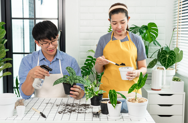 Couple gardening activity