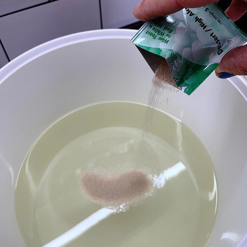 Sprinkling yeast onto sugar water to turn into a high alcohol sugar wash
