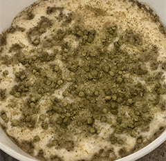 Hops added to wort