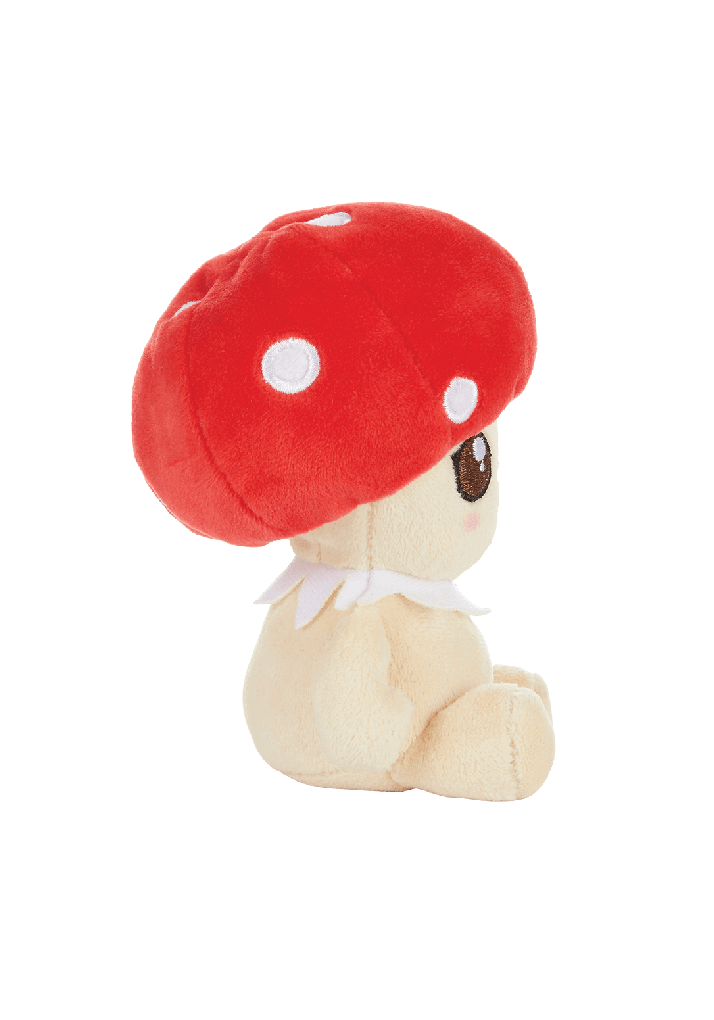 mushroom teddy