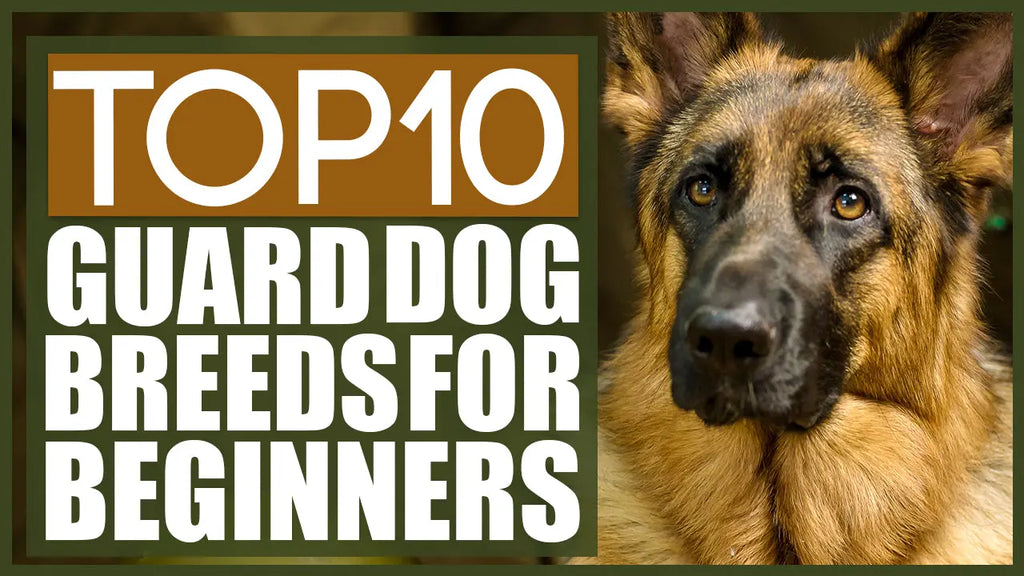 which dog breed is best for guard