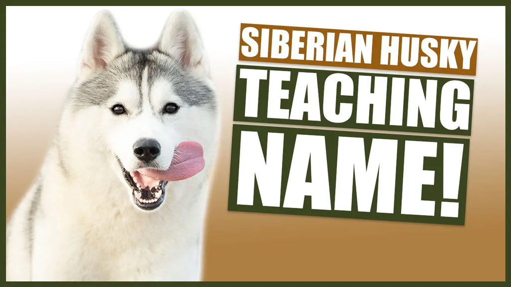 how did huskies get their name