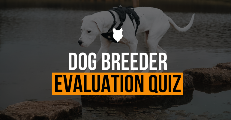 fenrir canine leaders dog breeder evaluation quiz