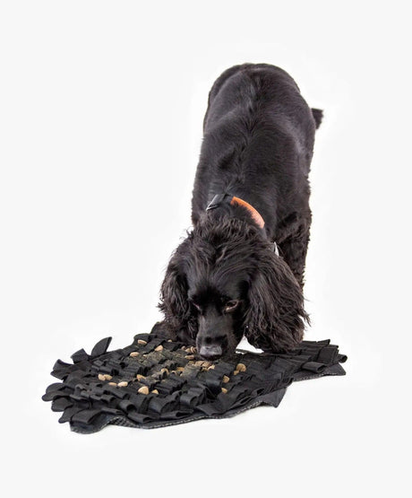 Dog Training Tools - Dog Treat Pouch - Fenrir Canine Leaders