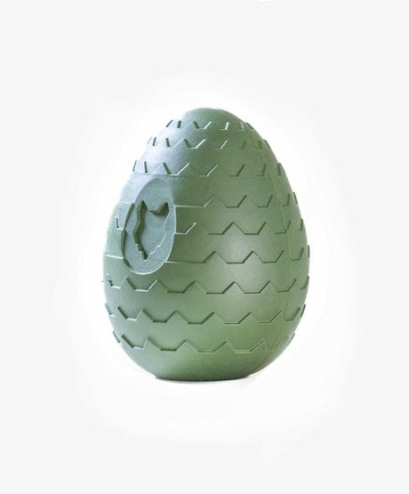 https://cdn.shopify.com/s/files/1/0257/5394/4152/files/fenrir-canine-leaders-green-fenrir-dragon-egg-fenrir-dragon-egg-dog-chew-toy-31781480464472.jpg?v=1700236746&width=460