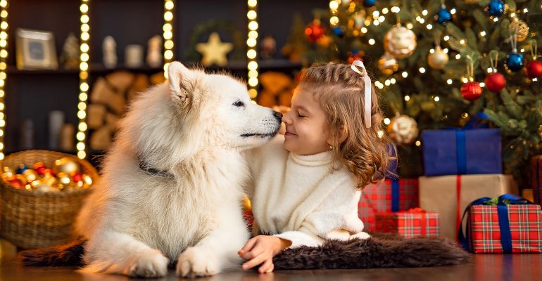 fenrir canine leaders how to socialise your dog to Christmas socialise with guests