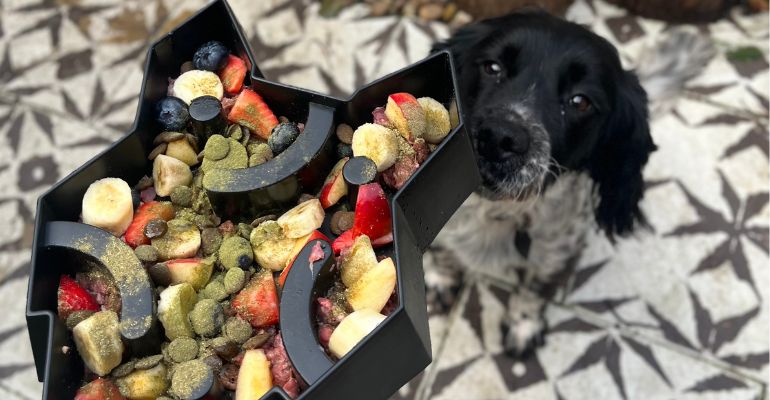 https://cdn.shopify.com/s/files/1/0257/5394/4152/files/fenrir-canine-leaders-what-is-a-slow-feeder-dog-bowl-reduce-unwanted-behaviours.jpg?v=1704361272
