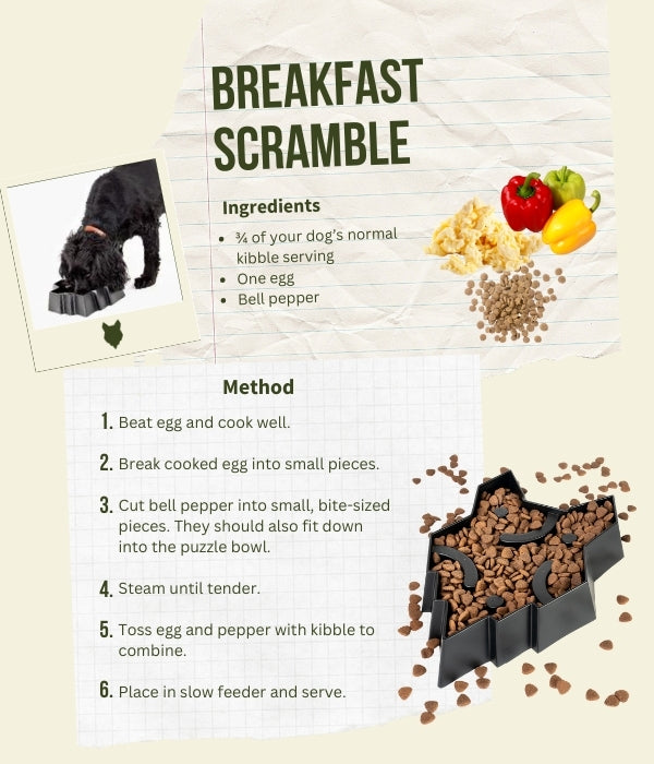 fenrir canine leaders what to put in a slow feeder breakfast scramble