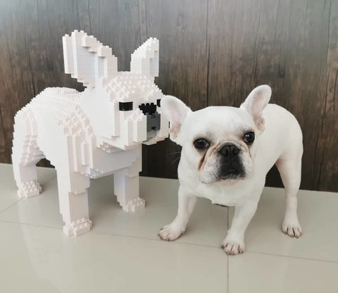 French Bulldog Building Kit