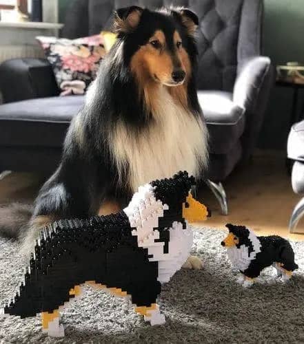 tri colored sheltie stuffed animal