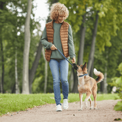 Dr Kez ChiroLab Open the door in 2024 Lasting healthy lifestyle habits walking dog exercise