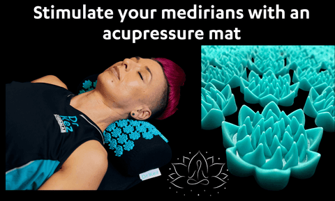 Dr Kez ChiroLab Kidneys Acupressure Mat and Pillow Lotus Spikes