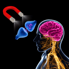 Dr Kez ChirLab Neurotransmitter Brain magnet