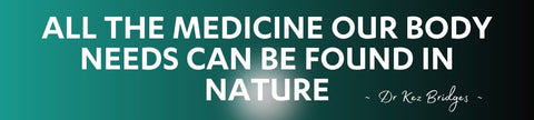 Dr Kez ChiroLab Nature Natural medicine quote