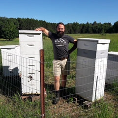 Beekeeper in apiary at honey farm in Minnesota