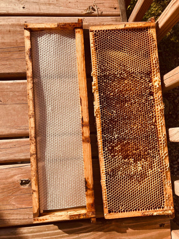 wood and beeswax honey combs for comb honey and extracting honey 
