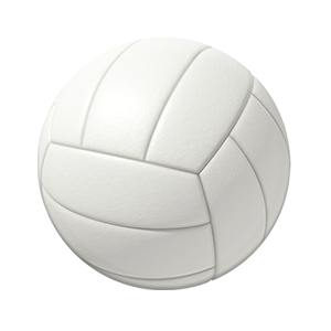 Volleyball – PopSockets LLC