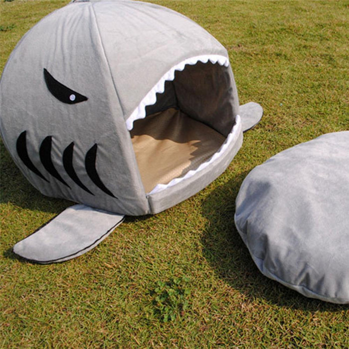 shark dog bed